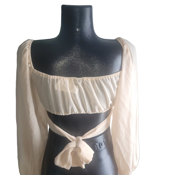 Windsor Chiffon Crop Top With Sheer Long Bishop Sleeves XS - Picture 7 of 8